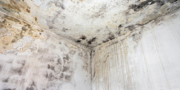 Pintar Fachadas de Casas Unifamiliares / Chalets en Girona · Pintura Antihumedad / Antimoho para Humedades / Moho