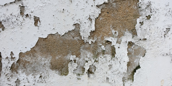 Pintar Fachadas de Empresas / Negocios / Locales Comerciales en Girona · Pintura Antihumedad / Antimoho para Humedades / Moho