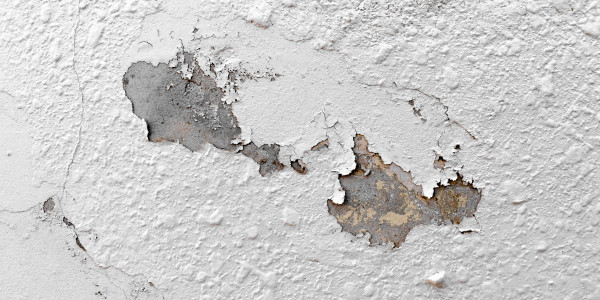 Pintar Fachadas de Naves Industriales, Fábricas y Almacenes en Girona · Pintura Antihumedad / Antimoho para Humedades / Moho